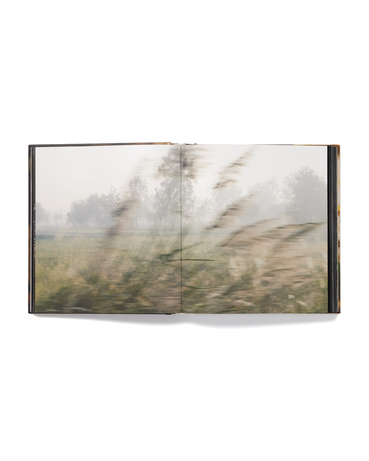 Amar Kanwar Catalogue