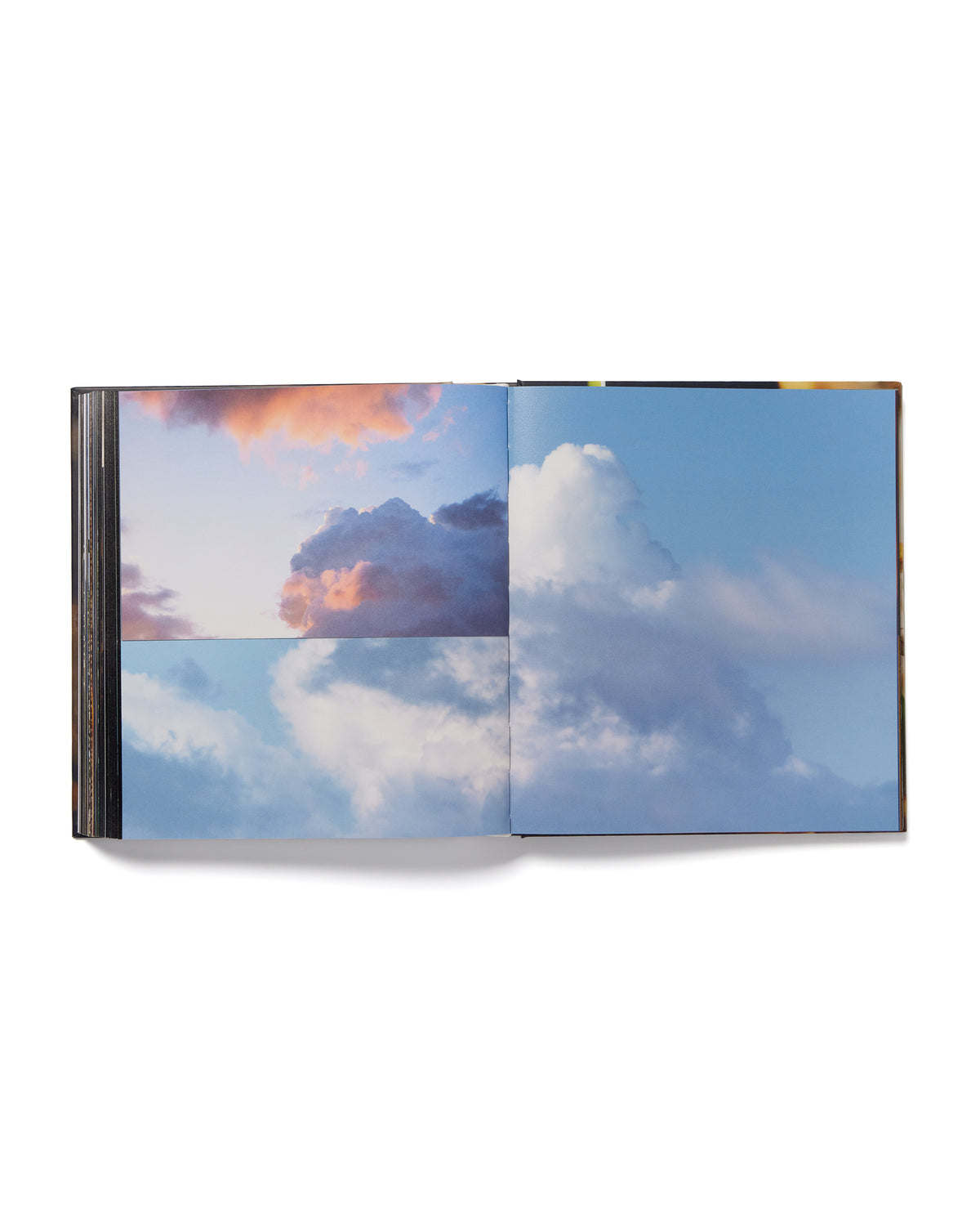 Amar Kanwar Catalogue