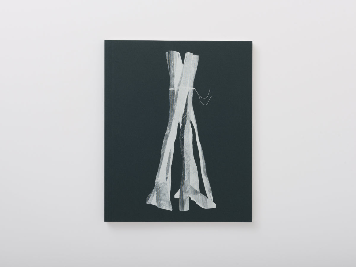 Baselitz、The Gleaner、希少画集画、新品額付