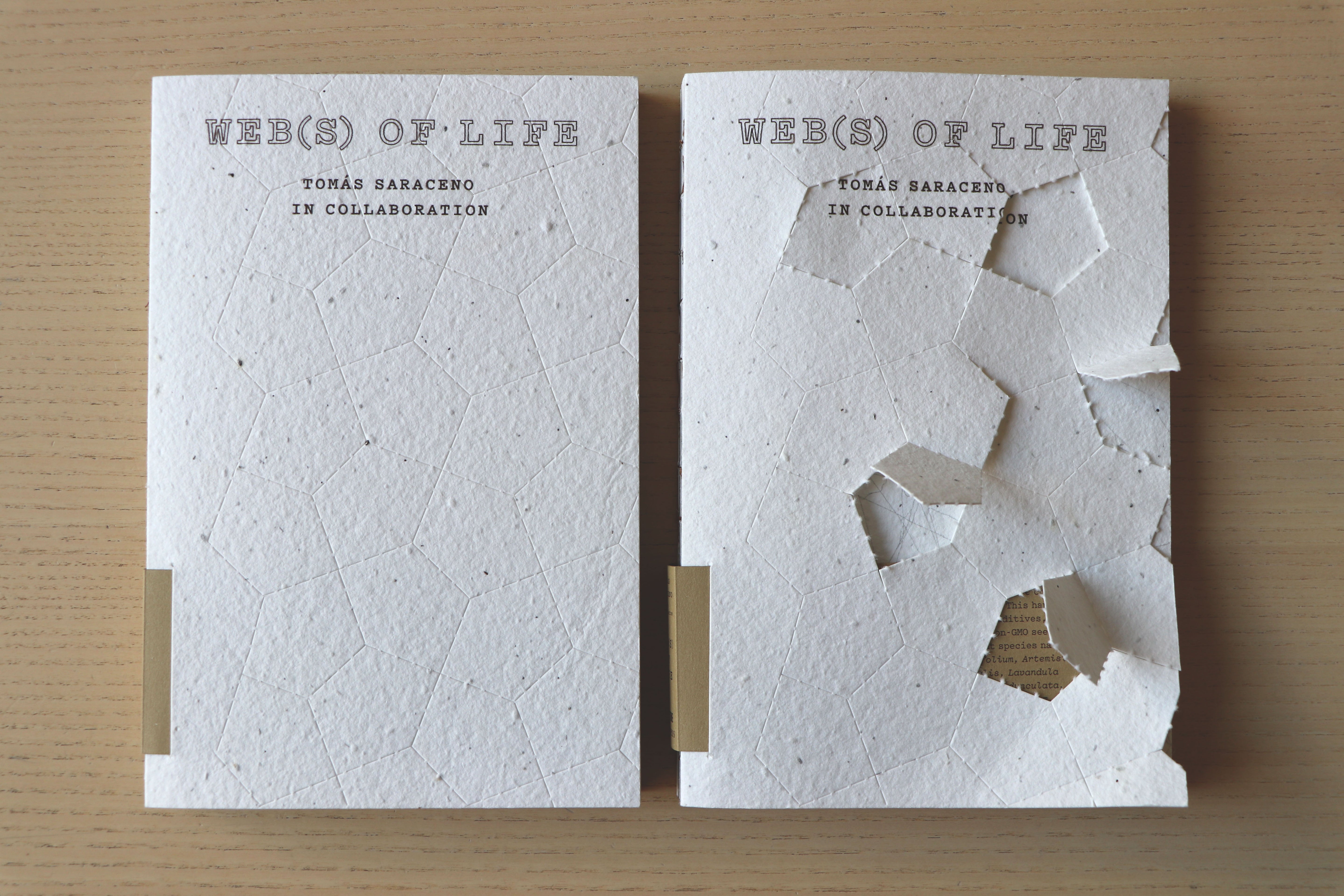 Web(s) of life