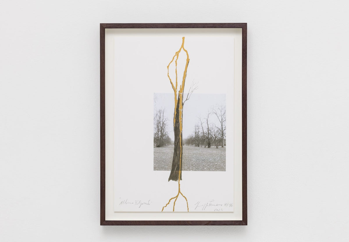 絵画 TREE Giuseppe Penone: Albero folgorato (Thunderstruck Tree