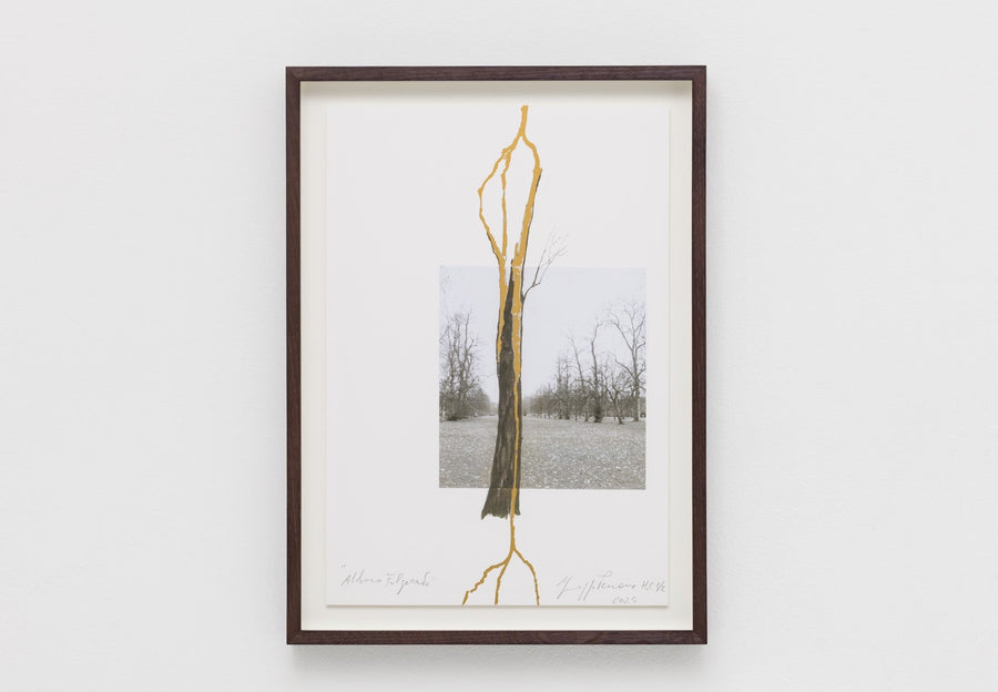 Giuseppe Penone: Albero folgorato (Thunderstruck Tree)
