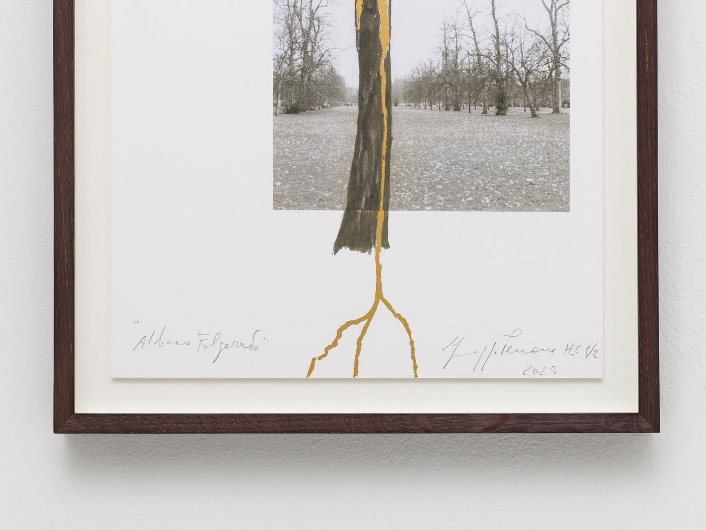 Giuseppe Penone: Albero folgorato (Thunderstruck Tree)