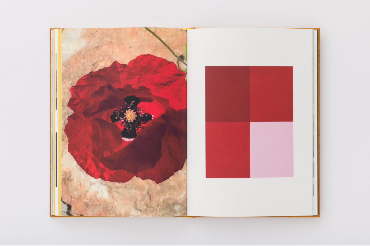 Marina Tabassum Architects: SERPENTINE PAVILION 2025 A CAPSULE IN TIME