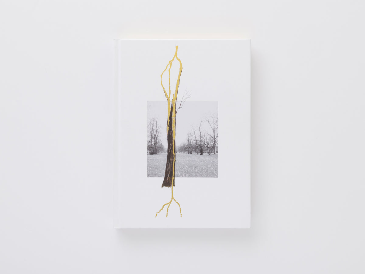 アート・デザイン・音楽 Giuseppe Penone Writings 1968-2008 Giuseppe Penone: Intersecting Gaze Poster | Gagosian Shop