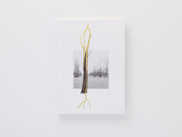 Giuseppe Penone: Thoughts in the Roots