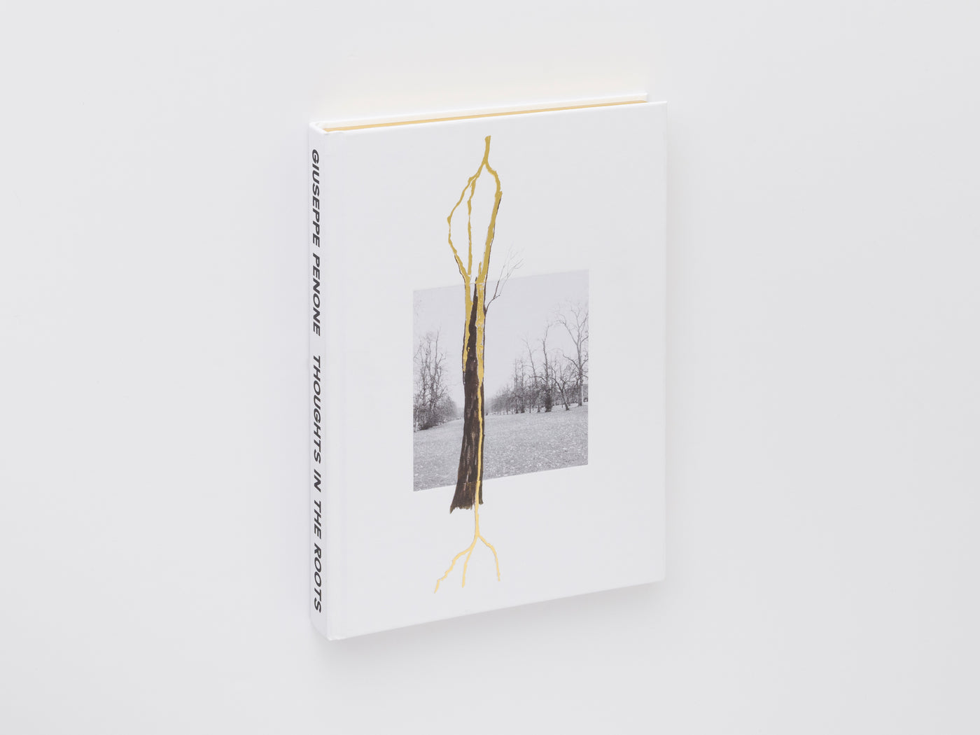 Giuseppe Penone: Thoughts in the Roots