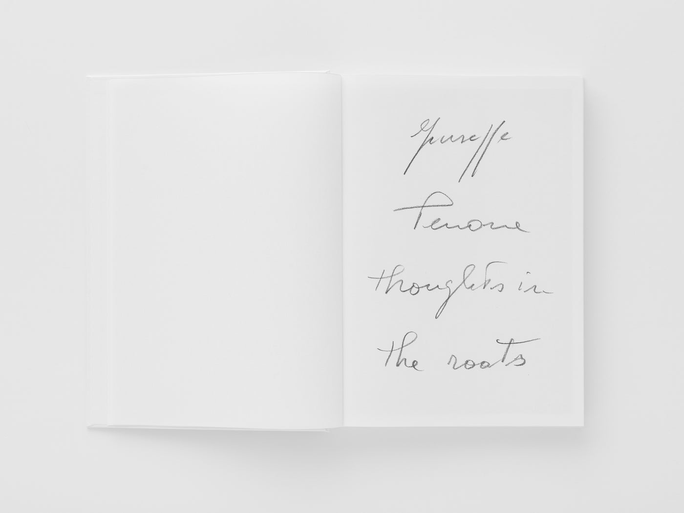 Giuseppe Penone: Thoughts in the Roots