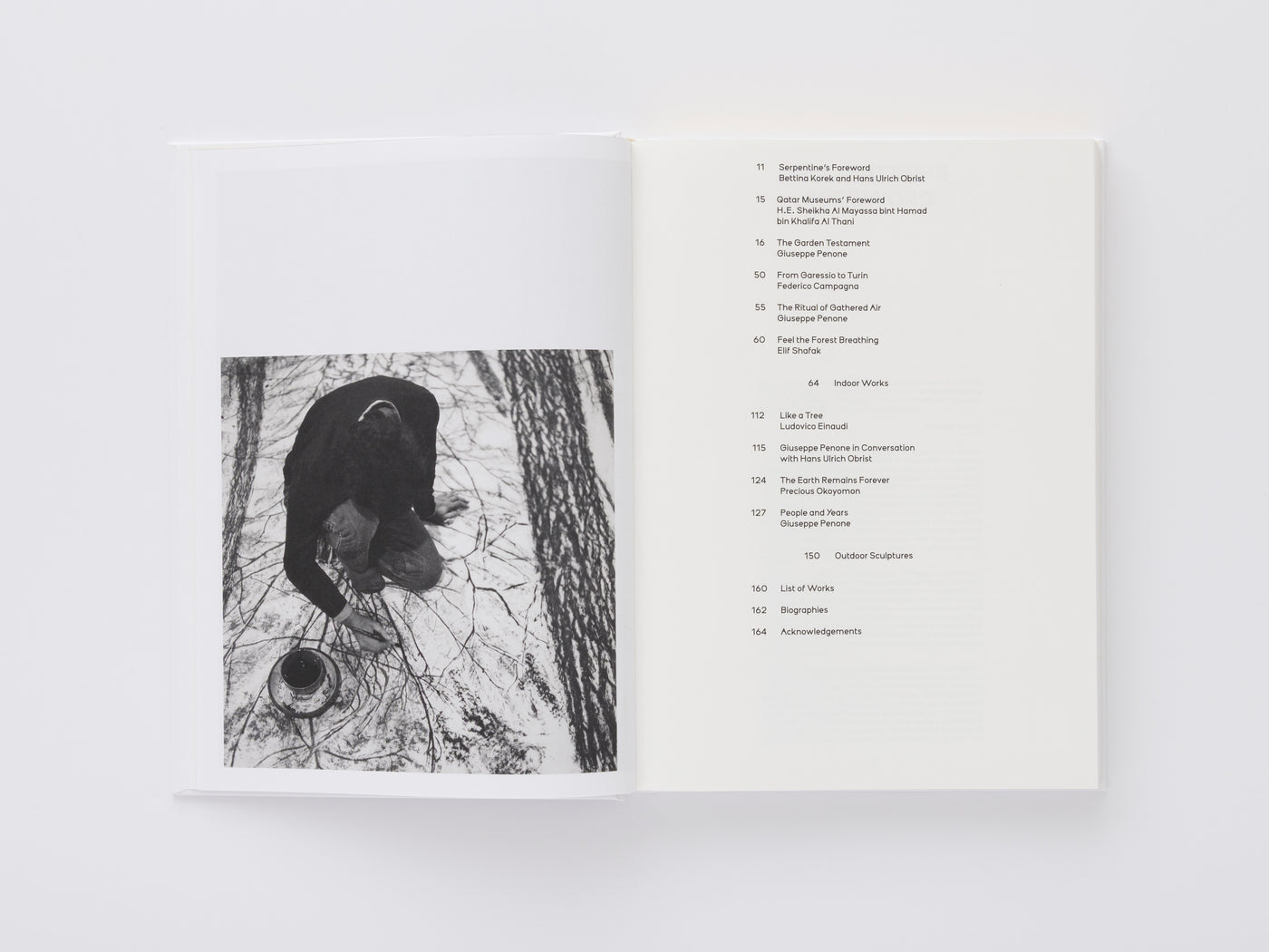 Giuseppe Penone: Thoughts in the Roots