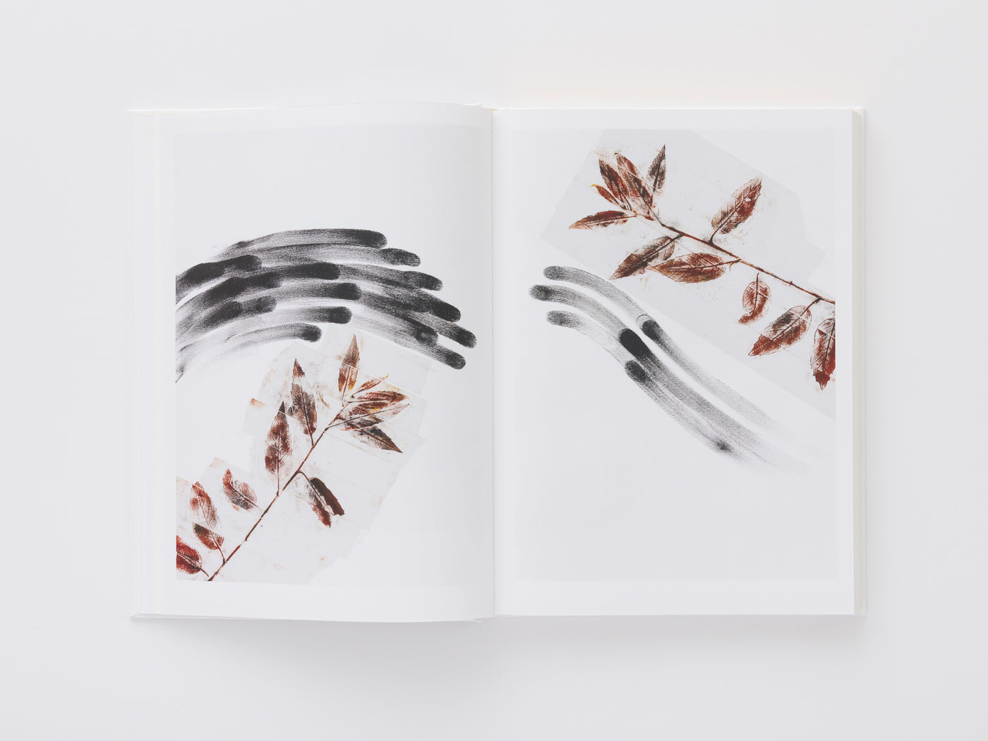 Giuseppe Penone: Thoughts in the Roots