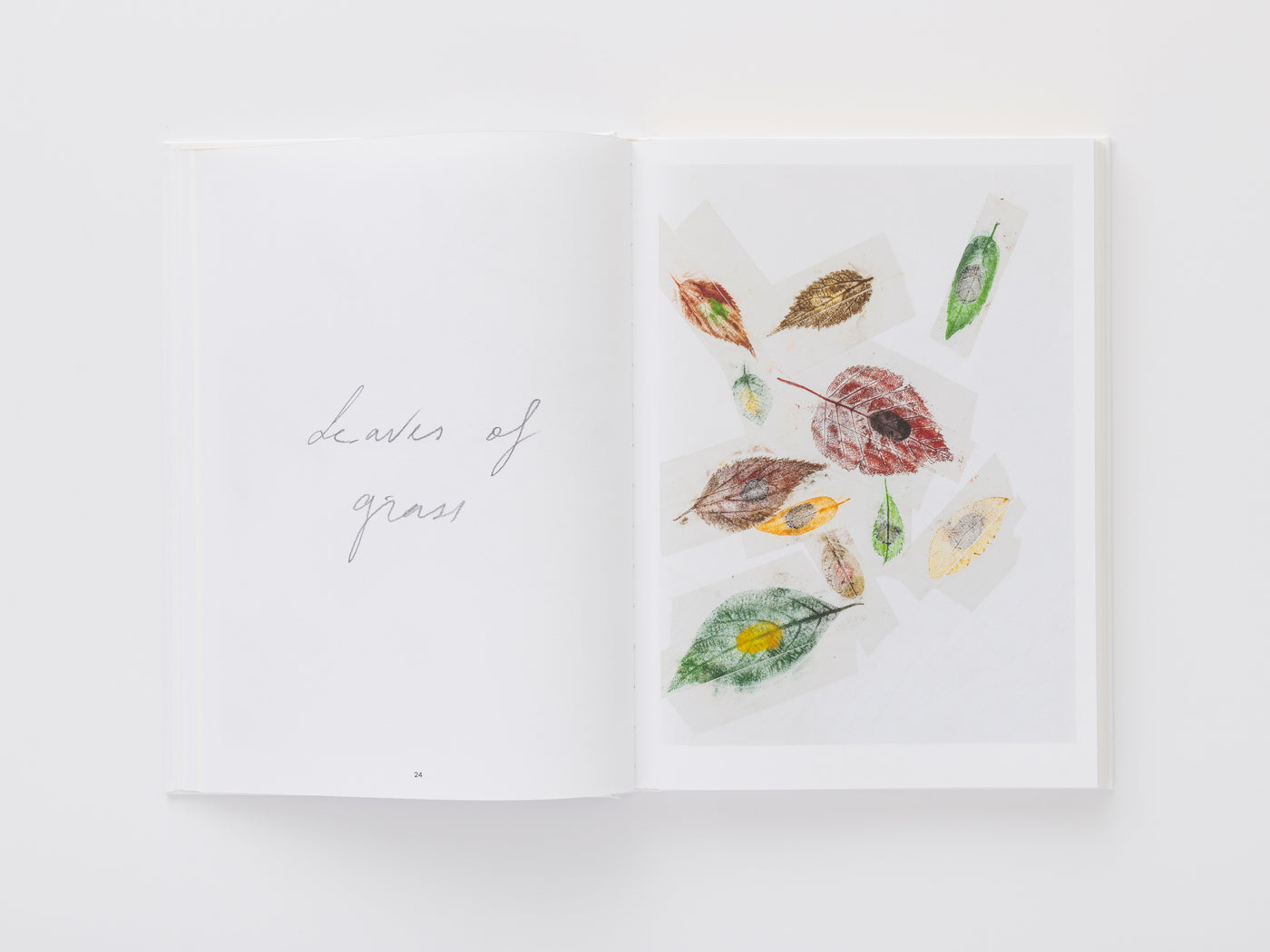 Giuseppe Penone: Thoughts in the Roots