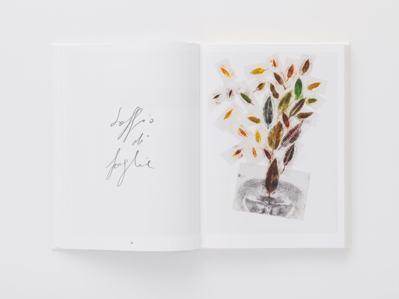 Giuseppe Penone: Thoughts in the Roots