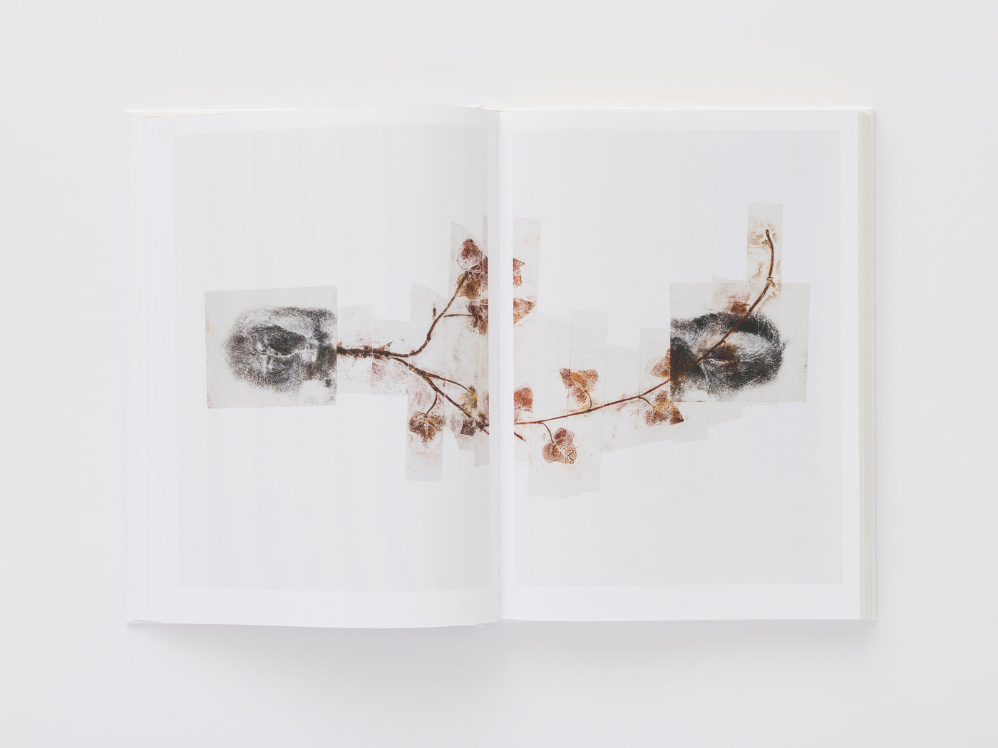 Giuseppe Penone: Thoughts in the Roots