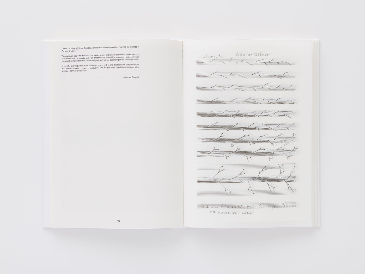 Giuseppe Penone: Thoughts in the Roots