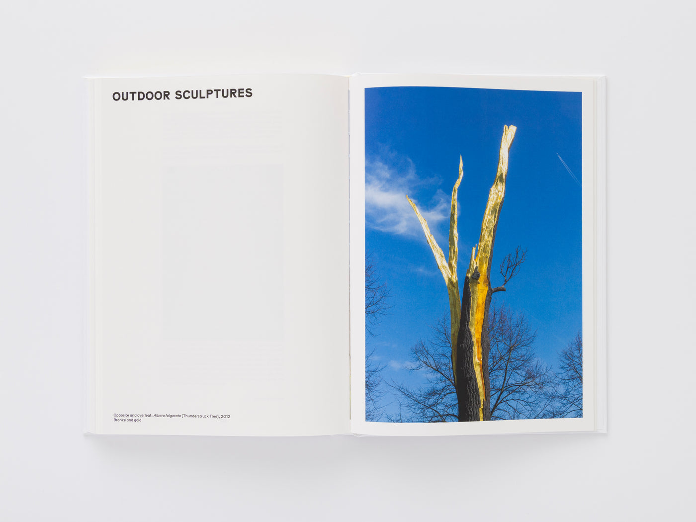 Giuseppe Penone: Thoughts in the Roots