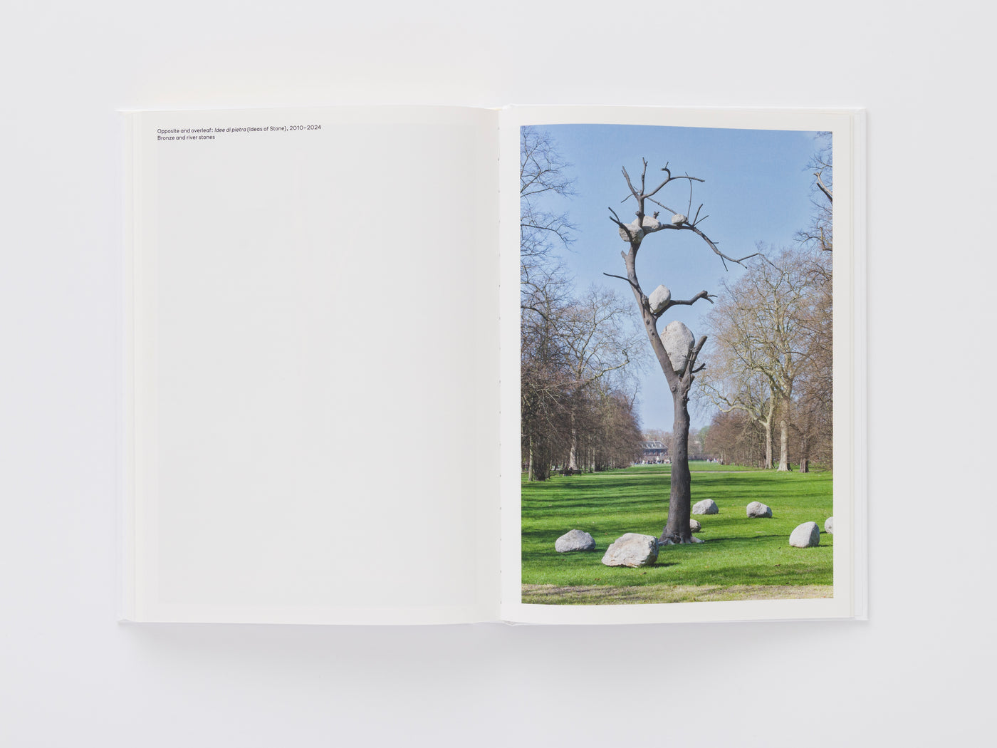 Giuseppe Penone: Thoughts in the Roots