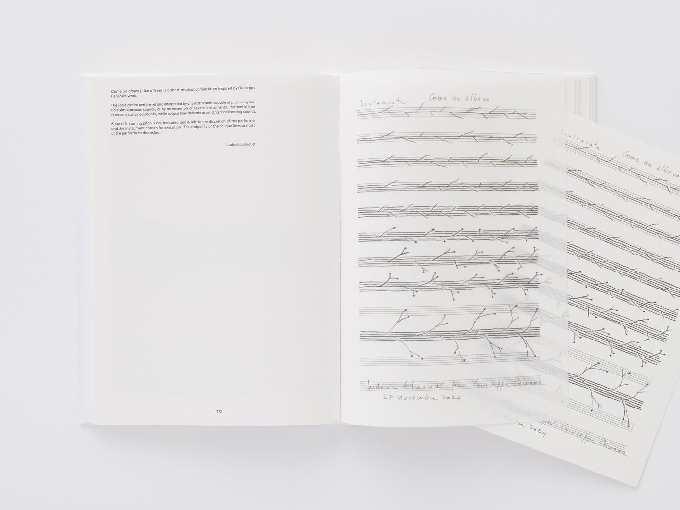 Giuseppe Penone: Thoughts in the Roots