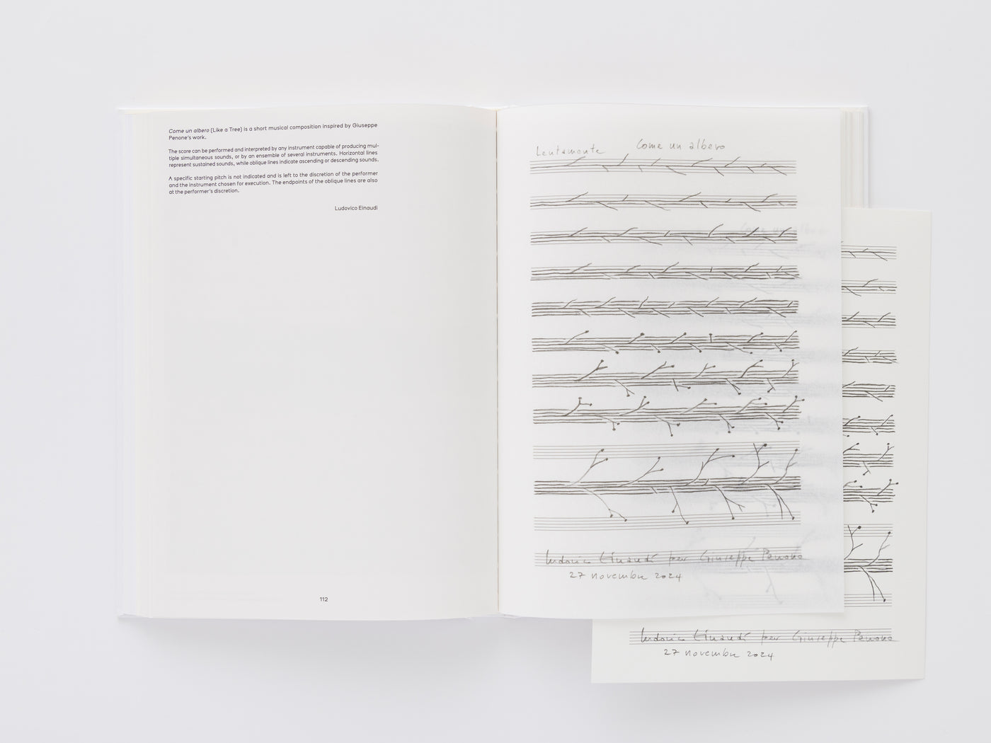 Giuseppe Penone: Thoughts in the Roots