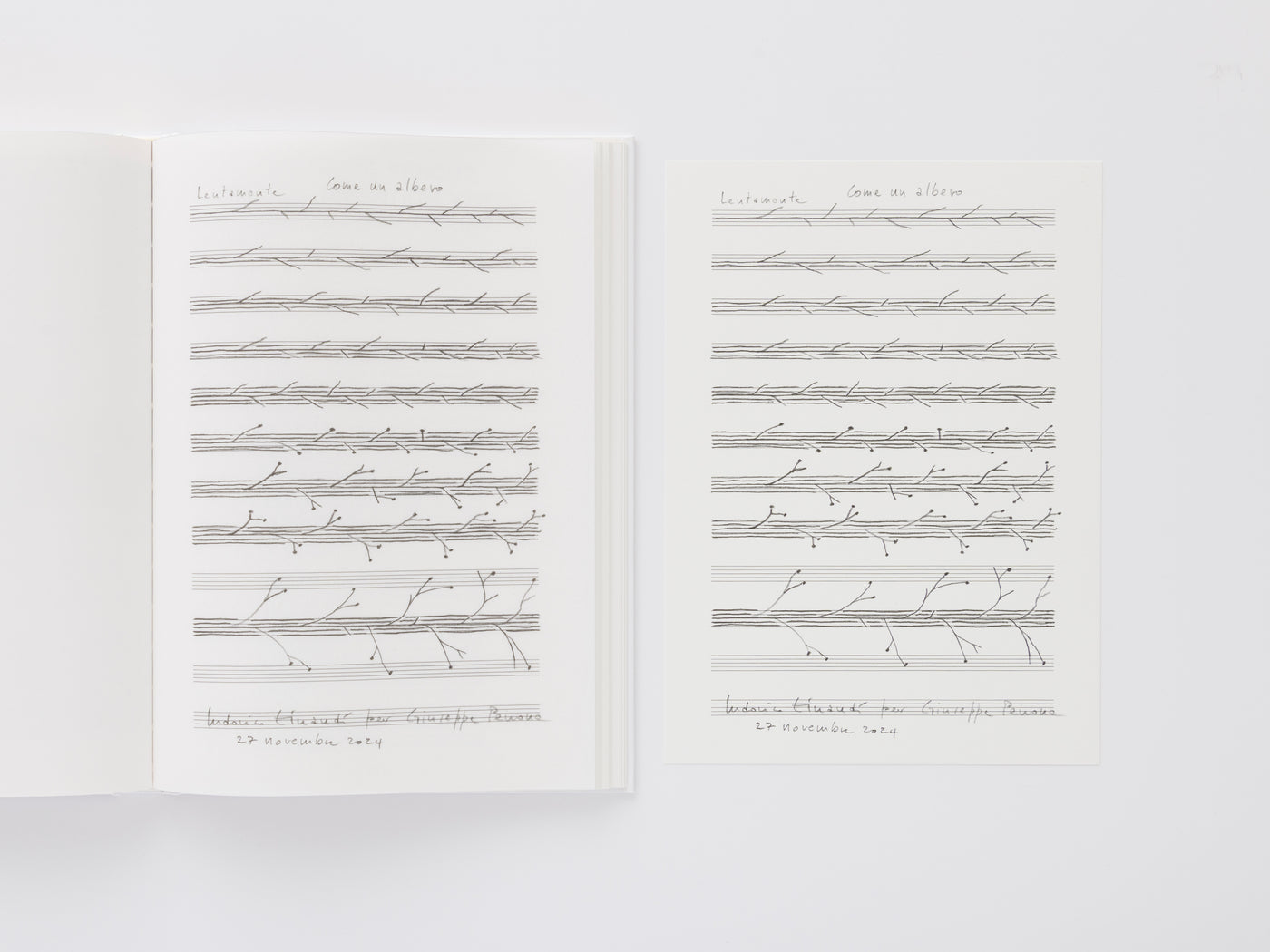 Giuseppe Penone: Thoughts in the Roots