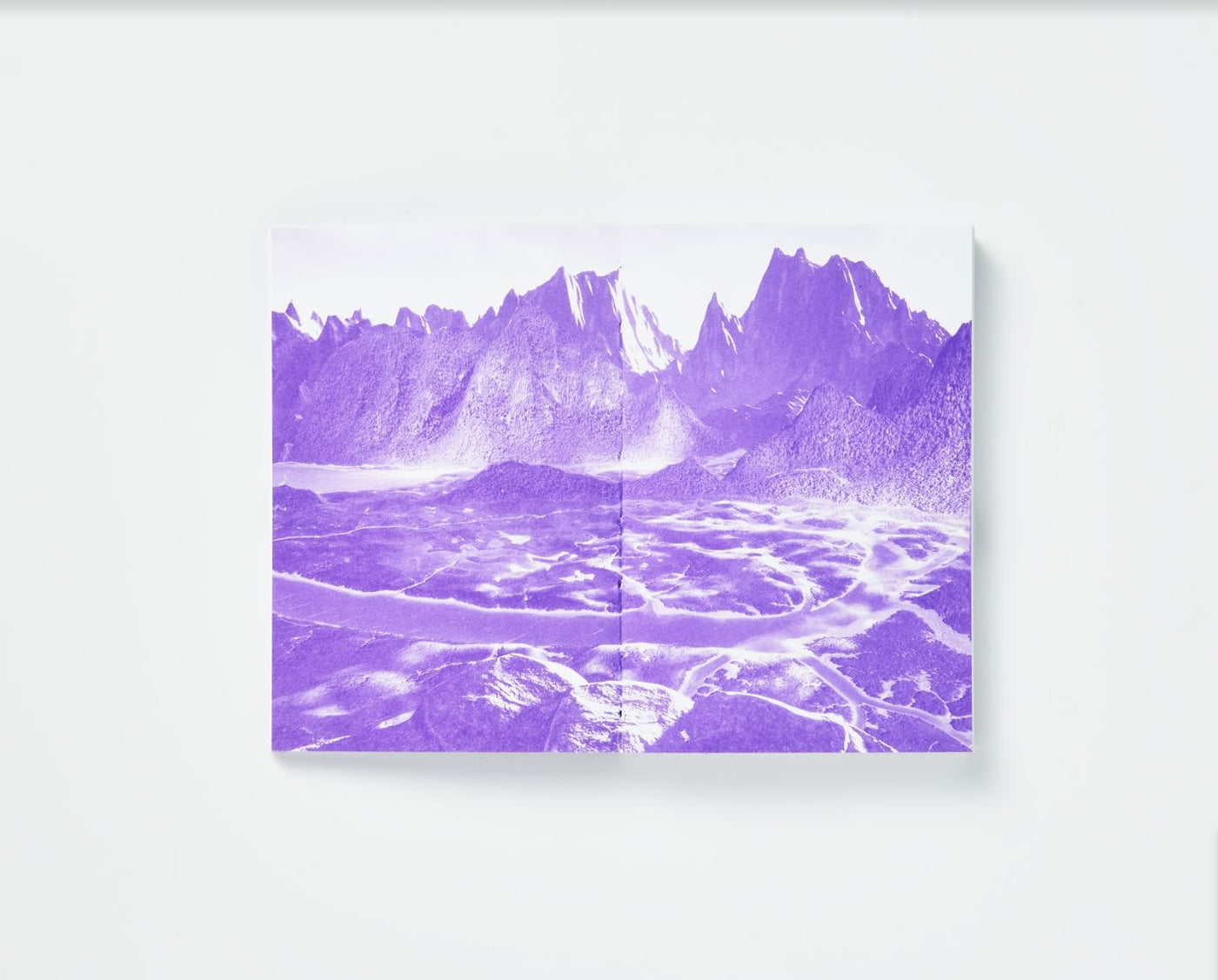 Future Art Ecosystems Bundle