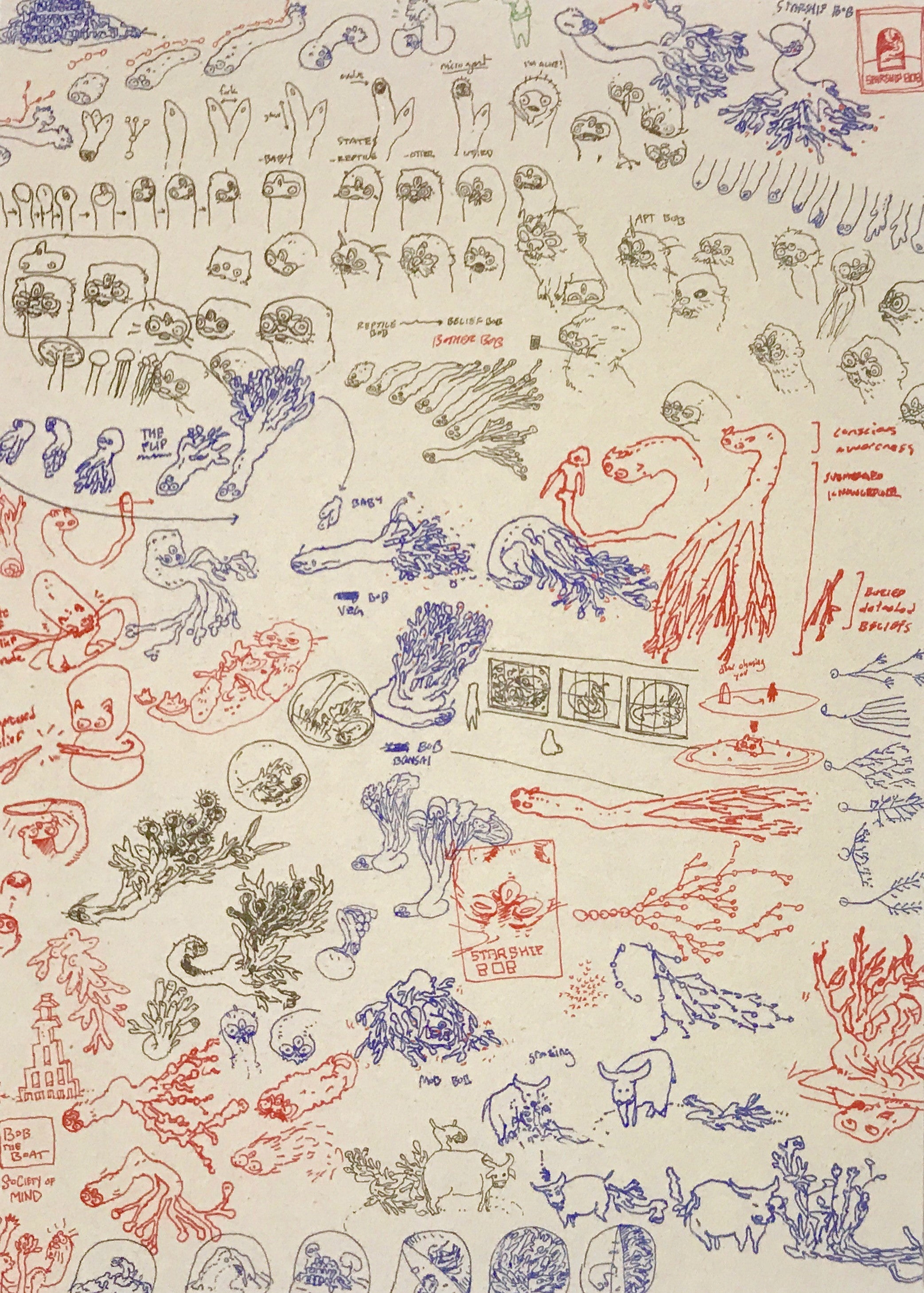 BOB drawings