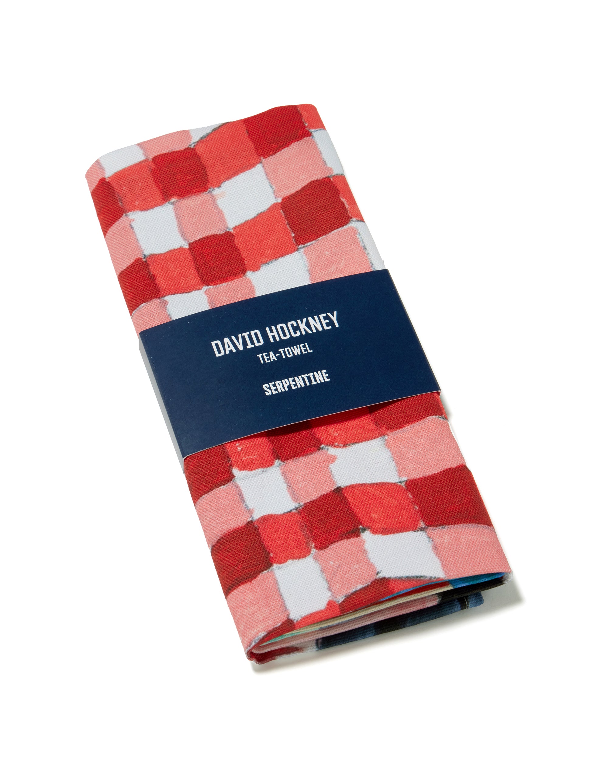 Abstraction Resting on a Red and White Checkered Tablecloth Tea Towel