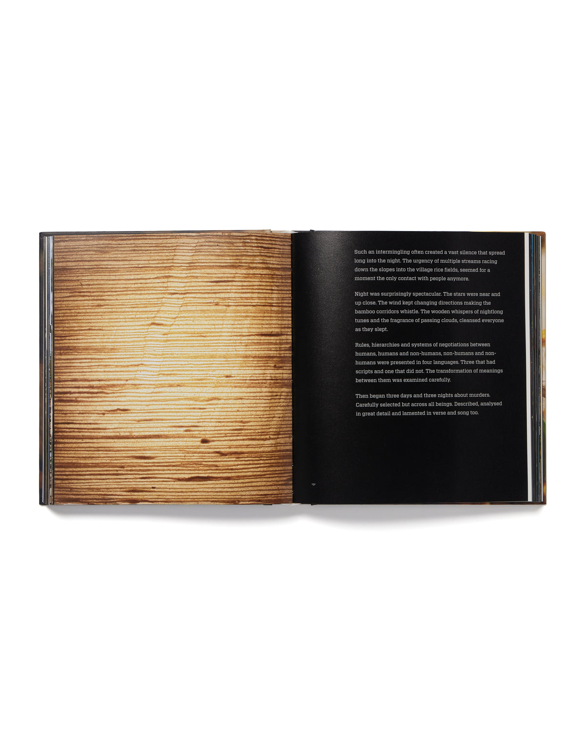 Amar Kanwar Catalogue