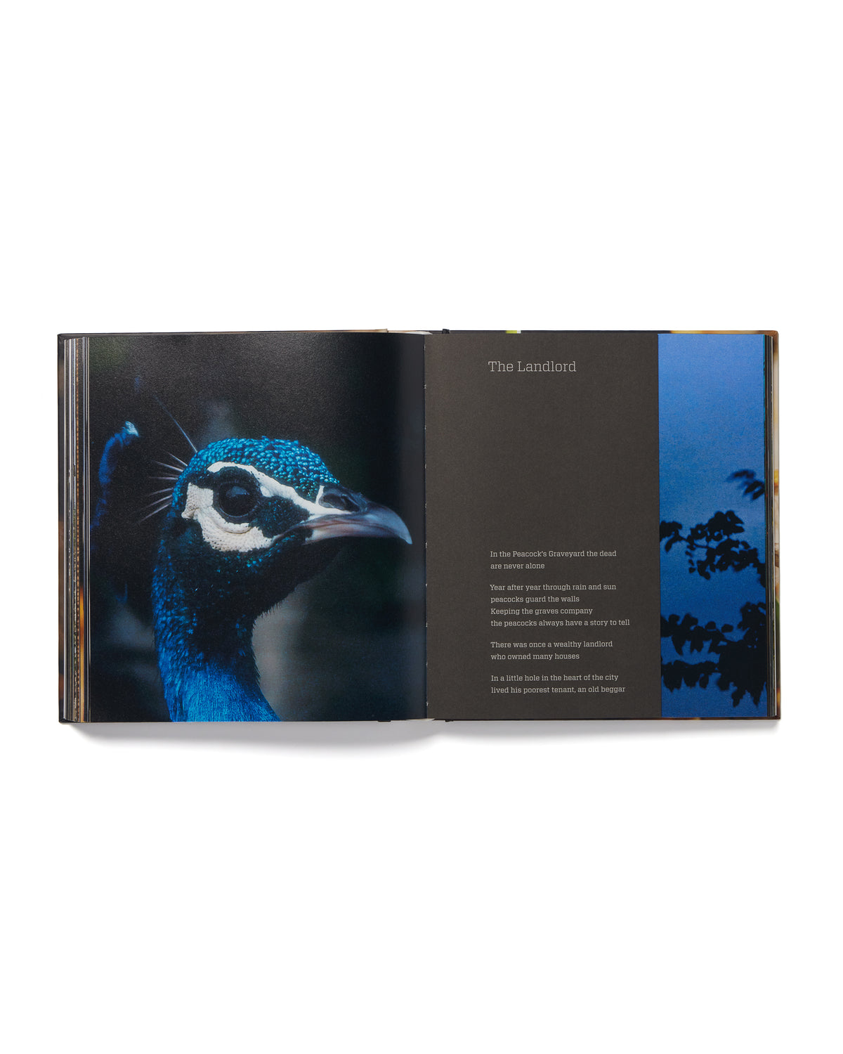 Amar Kanwar Catalogue