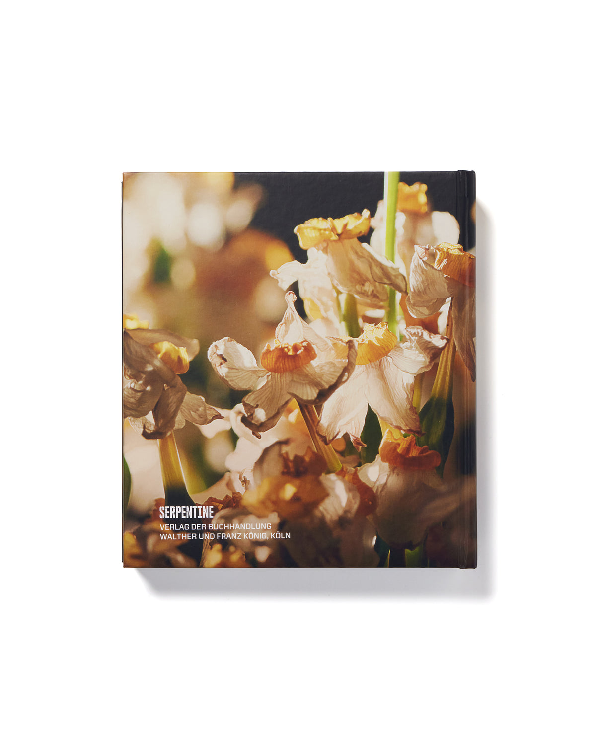 Amar Kanwar Catalogue