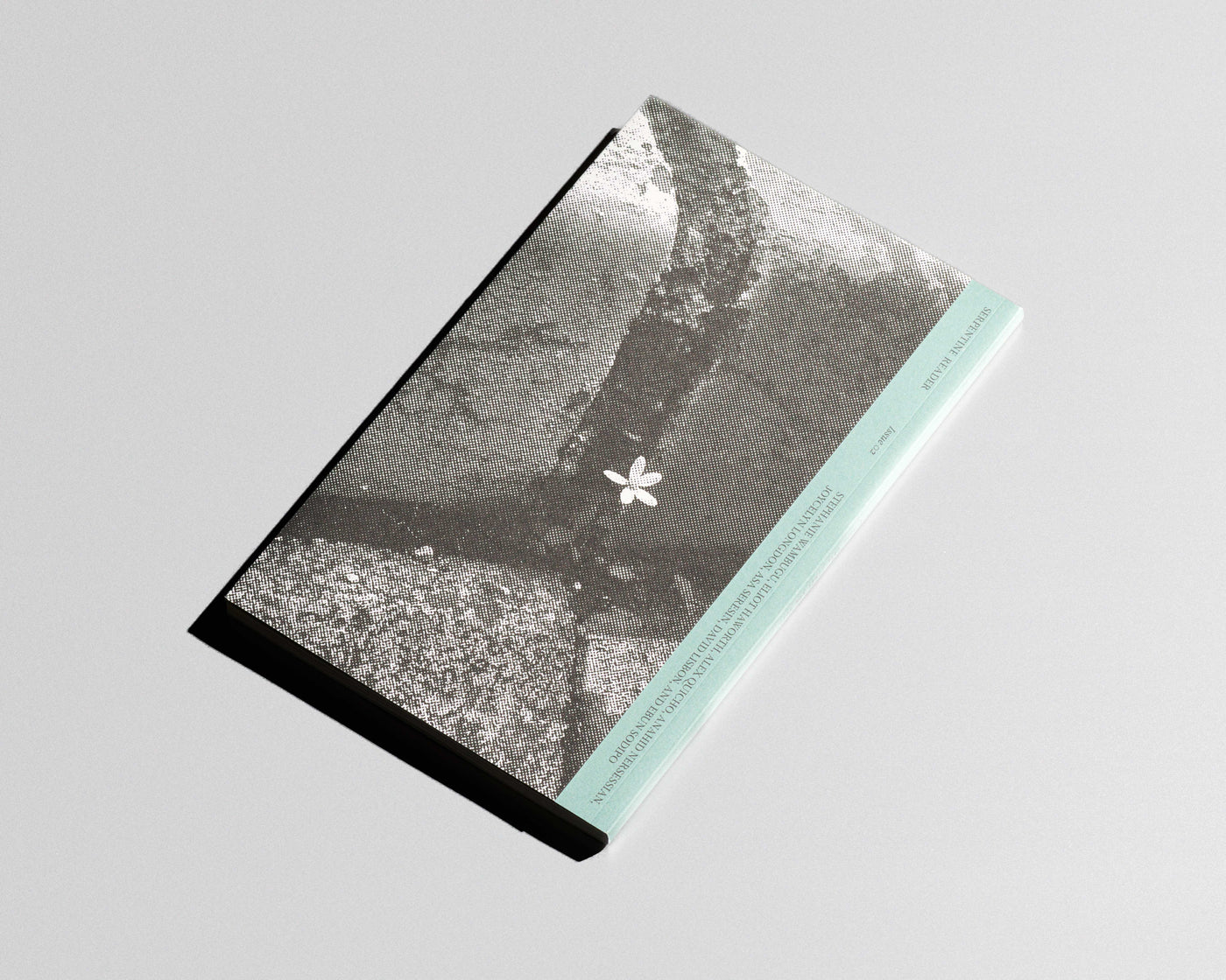 Serpentine Reader, Issue 02