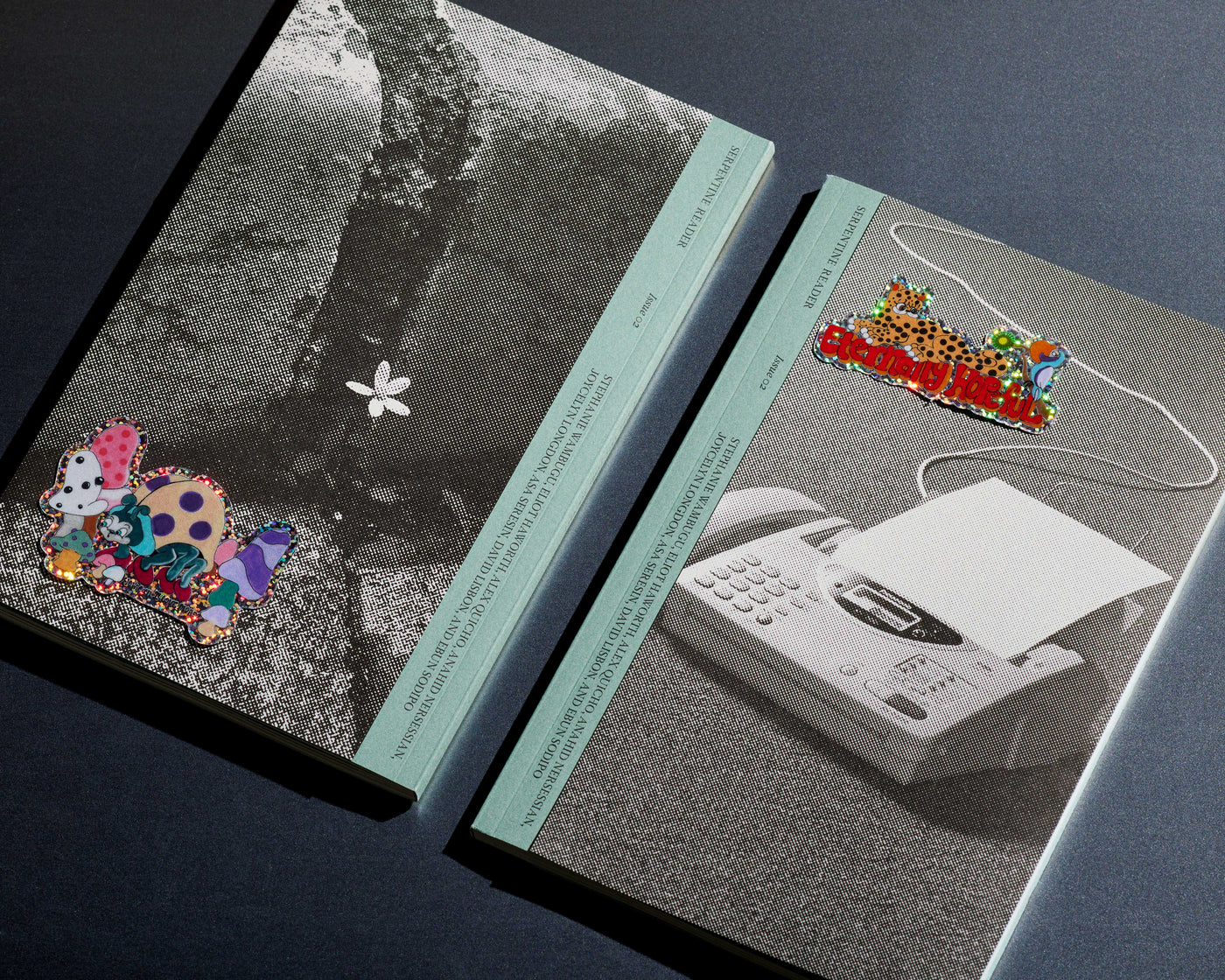 Serpentine Reader, Issue 02