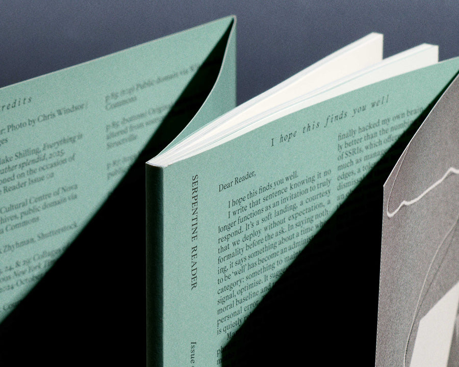 Serpentine Reader, Issue 02