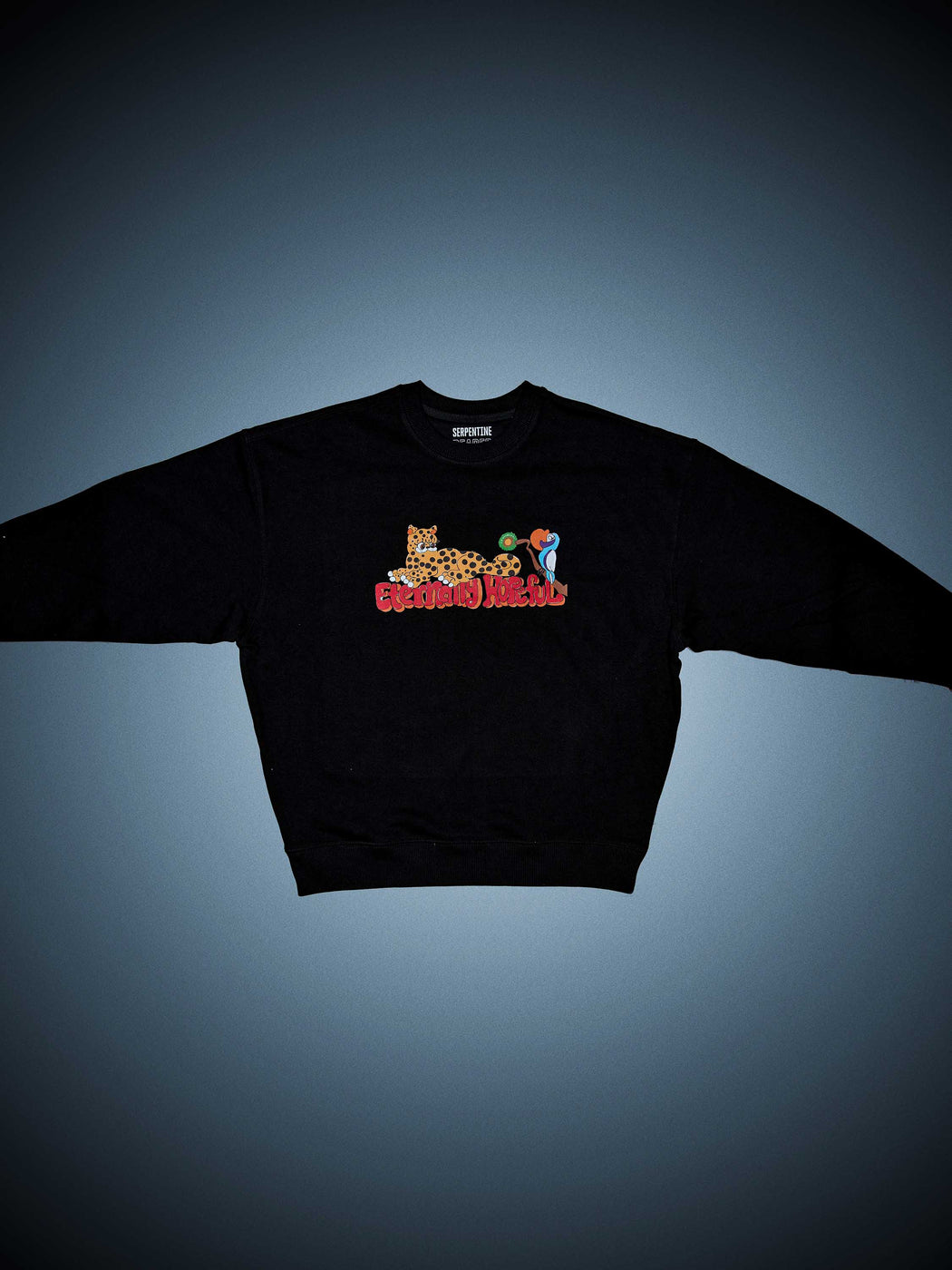 Eternally Hopeful Sweatshirt