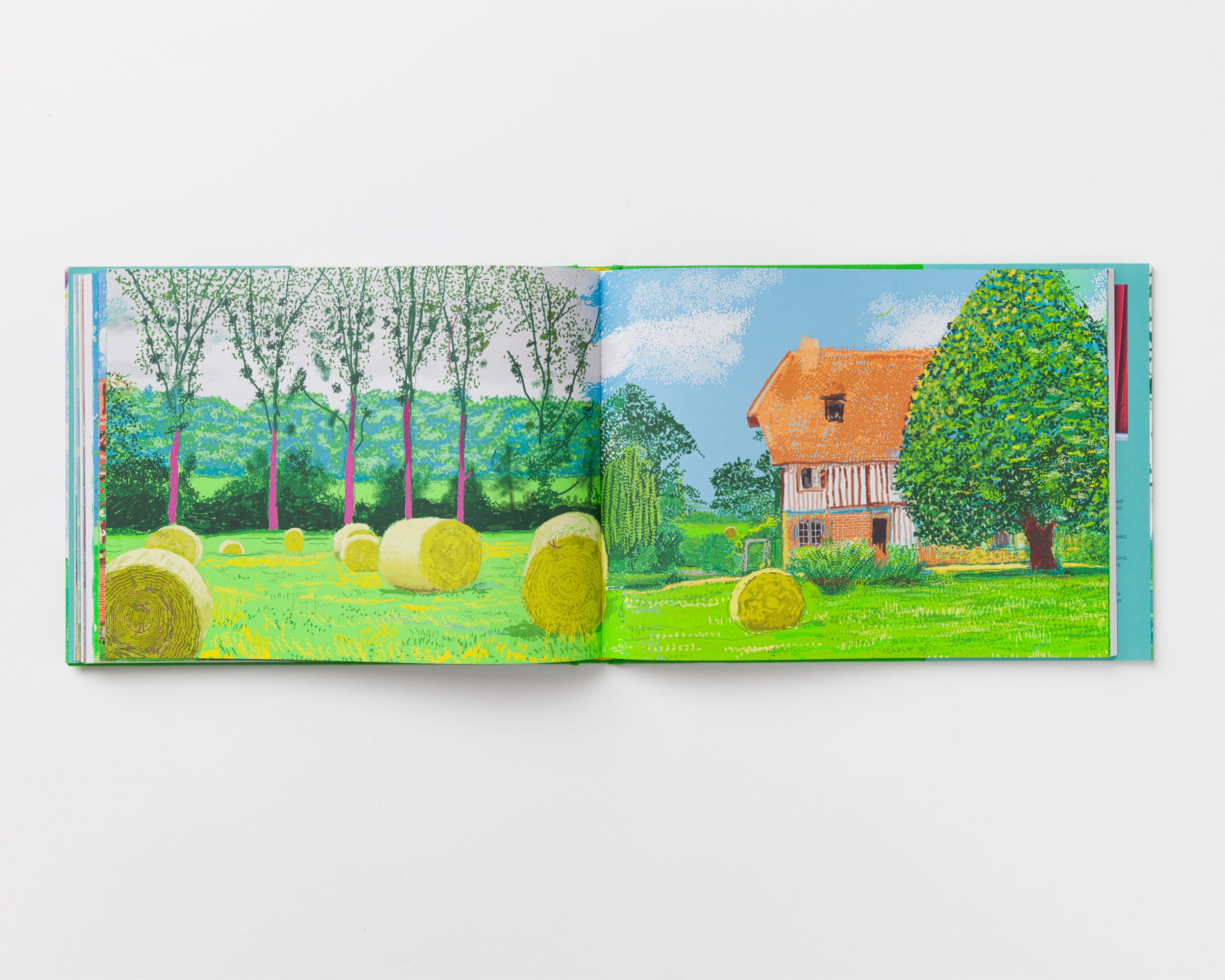 A Year in Normandie and Some Other Thoughts about Painting Catalogue