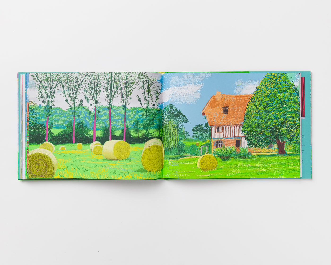 A Year in Normandie and Some Other Thoughts about Painting Catalogue