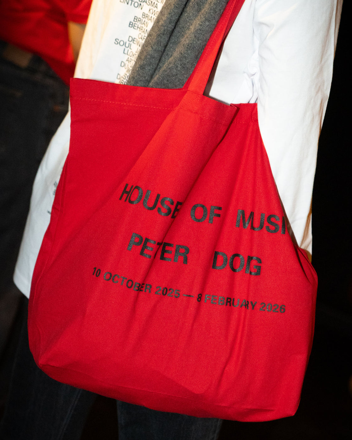 Peter Doig: House of Music Tote