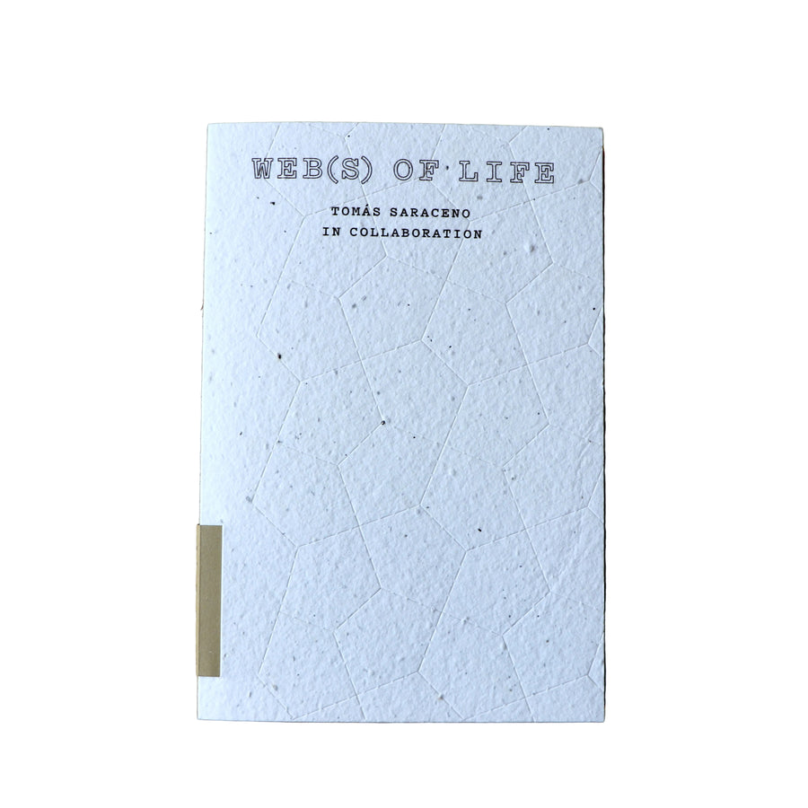 Tomas Saraceno: Web(s) of life