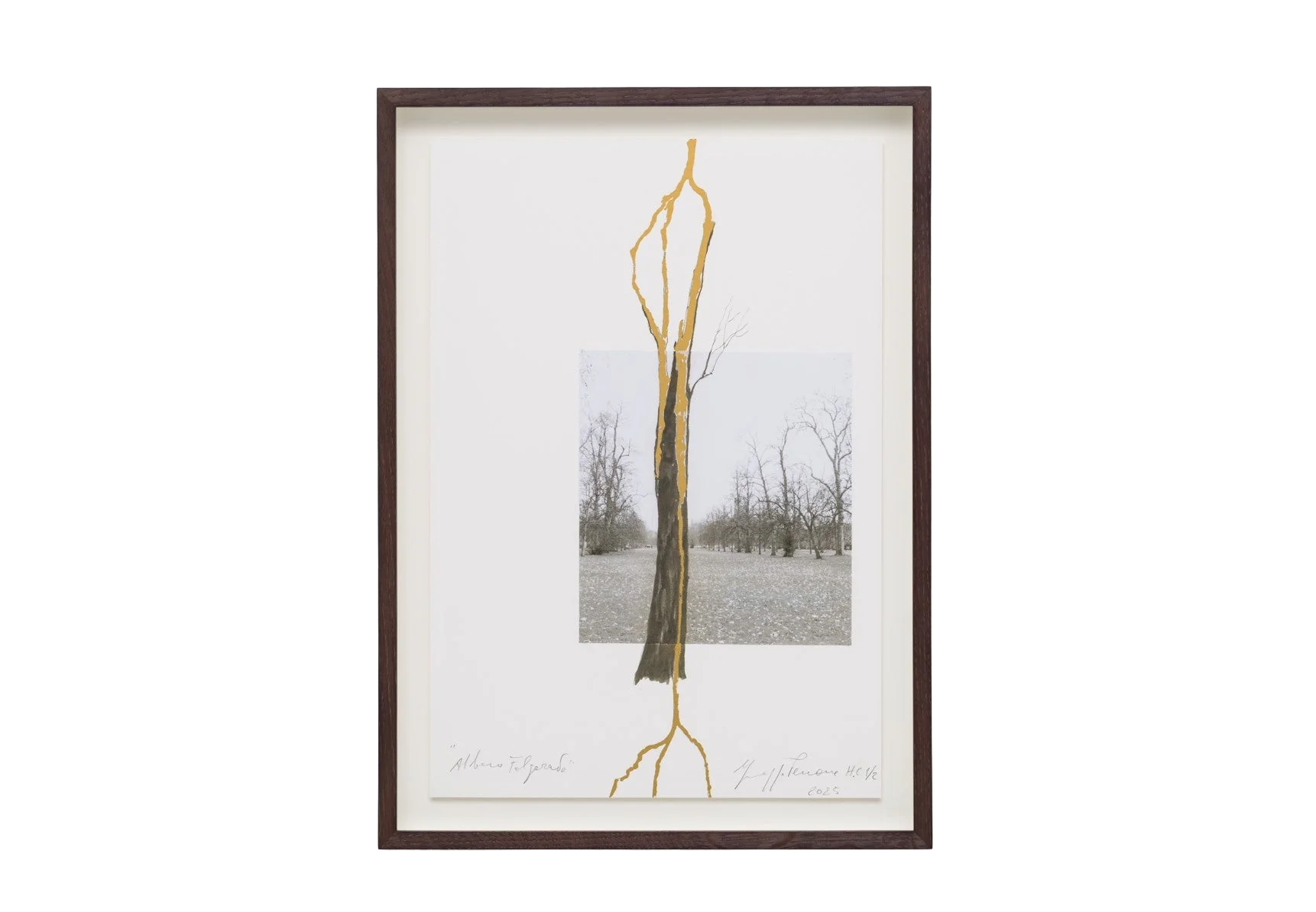Albero folgorato (Thunderstruck Tree)