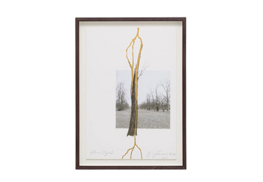 Albero folgorato (Thunderstruck Tree)