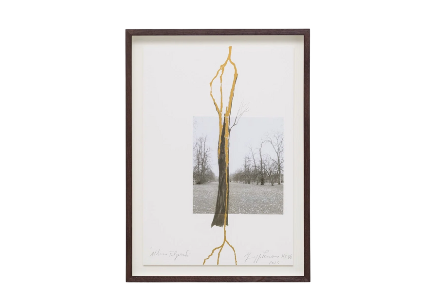 Albero folgorato (Thunderstruck Tree)