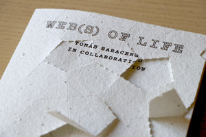 Tomas Saraceno: Web(s) of life