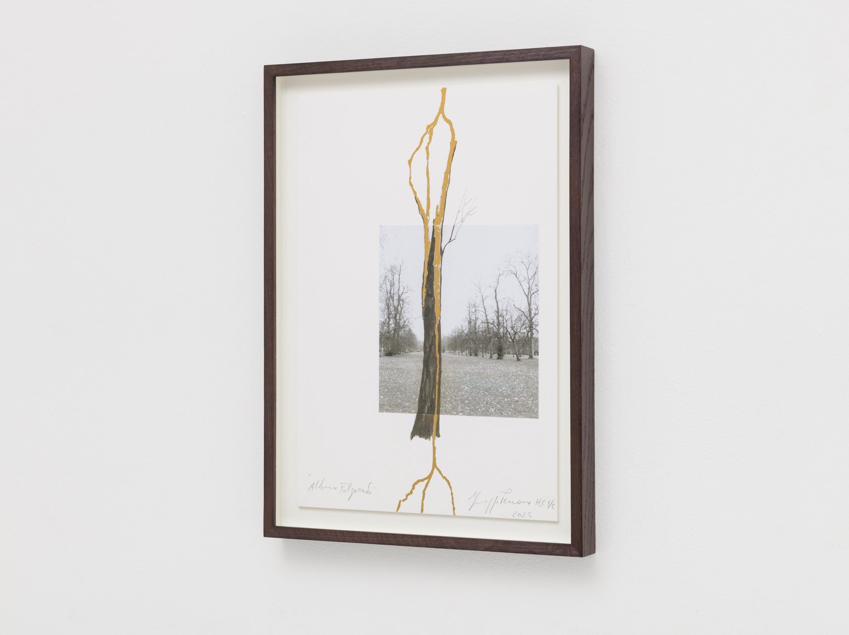国内未入荷 テートモダン ロンドンの色彩ポスター 額装込み Cy Twombly, Untitled (Blooming)日本未入荷ポスター