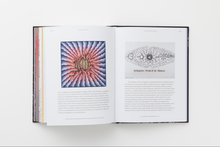 Load image into Gallery viewer, Judy Chicago: Revelations
