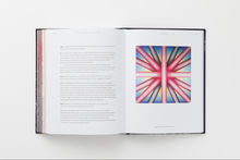 Load image into Gallery viewer, Judy Chicago: Revelations
