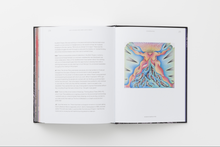 Load image into Gallery viewer, Judy Chicago: Revelations
