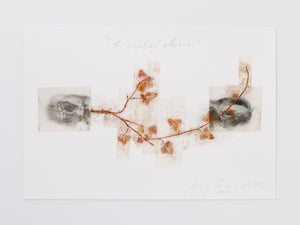 Giuseppe Penone: A occhi chiusi (With Closed Eyes) – Serpentine