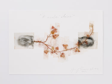 Giuseppe Penone: A occhi chiusi (With Closed Eyes)