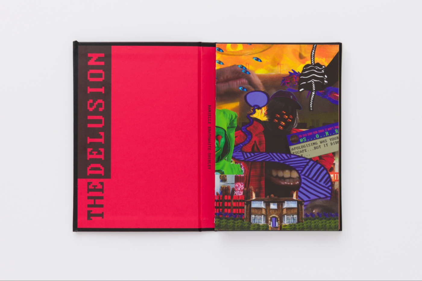 Danielle Brathwaite-Shirley: THE DELUSION