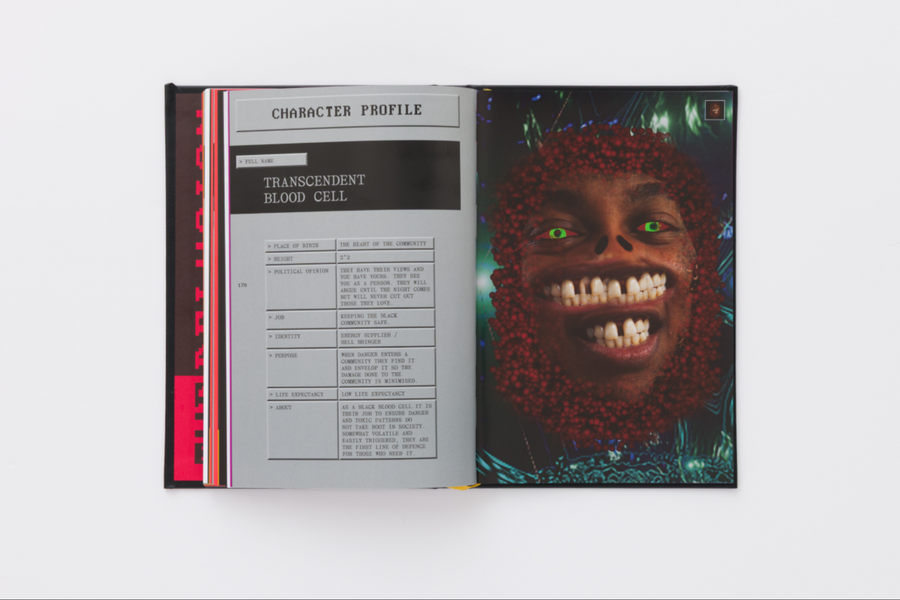 Danielle Brathwaite-Shirley: THE DELUSION