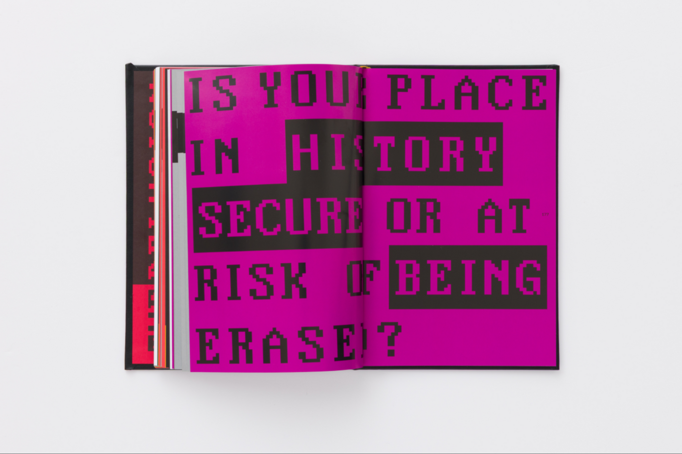 Danielle Brathwaite-Shirley: THE DELUSION